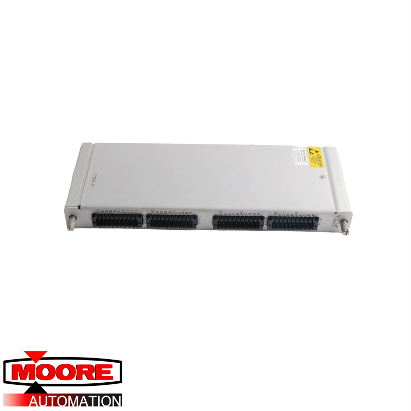 BENTLY NEVADA | 172103-01 | RTD/geïsoleerde tip TC I/O-module