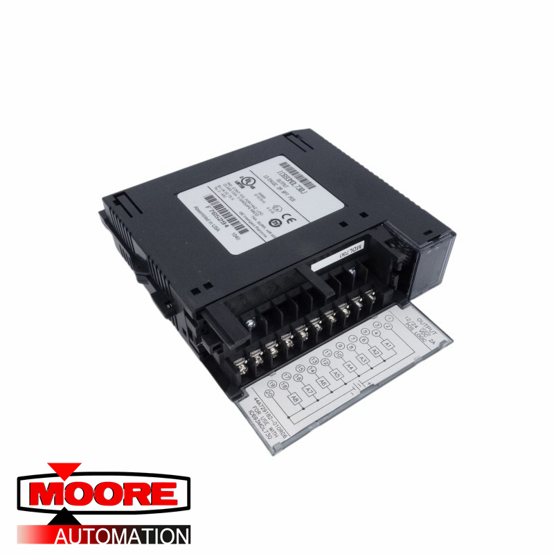 GE IC693MDL730 Uitgangsmodule