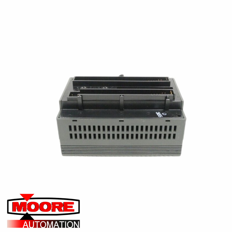 GE IC200ALG620 RTD-module met analoge ingang