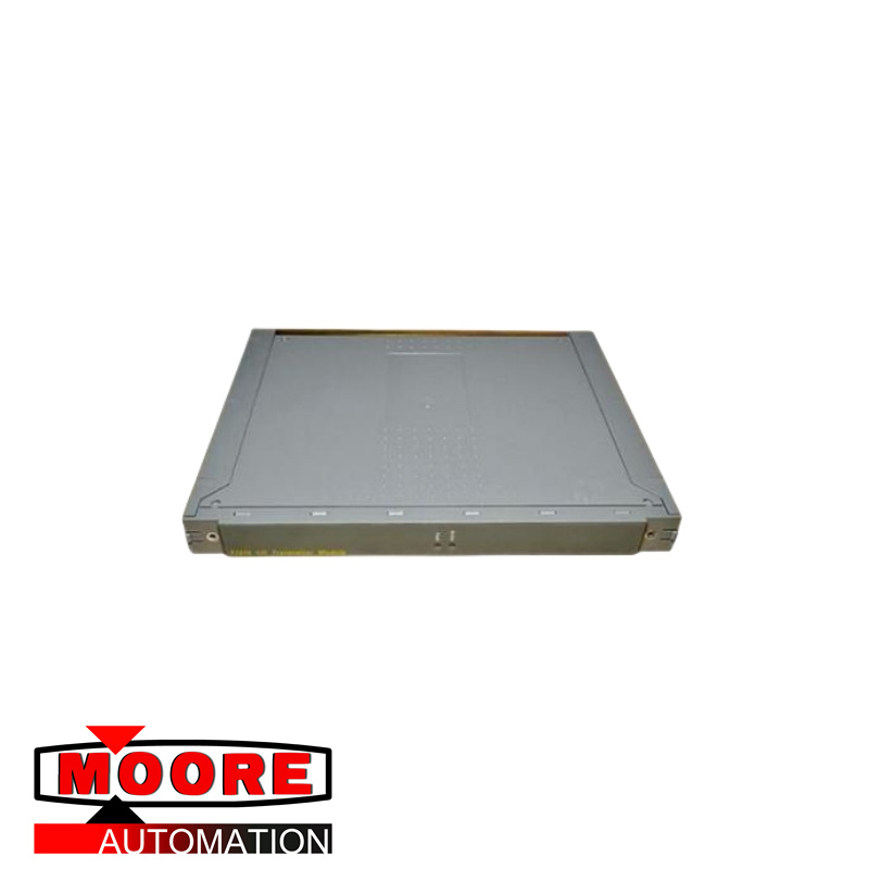 ICS TRIPLEX T9191-module