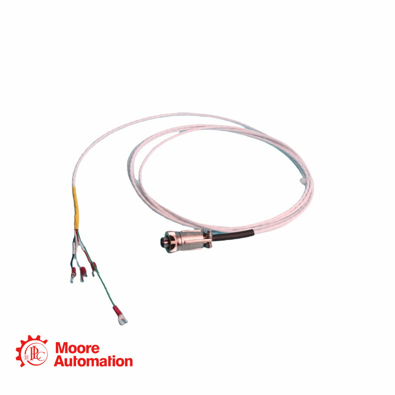 Bently Nevada 16925-50 Accelerometer Versnellingstransducers